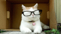 92614252857_0_0_tumblr_lryo6euR9D1r0mp3go1_500_tlog.