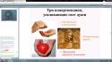 92639_Snimok7zamov7.