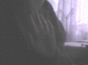 92723_gifpal-20131201153246.