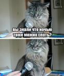 92817_A0BcOQA_FvA.