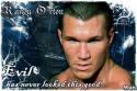 9284RandyOrtonBanner6.