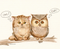 93236_owl_600x498_012.