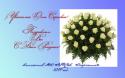 9326DR_Kireeva_2011.