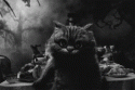 93516054676_0_0_tumblr_lywcj2qvAa1r69opoo1_500_tlog.