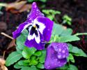 9363macro.