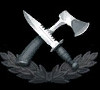 93710_sturmico.