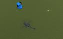 938_gm_flatgrass0003.