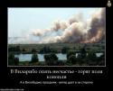 93908_ELHj8oLKYrE.