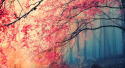 94278_Capture.