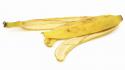 9430_banana-peel_4893610_std.