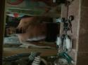94391_2014-02-28_17_29_51.