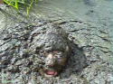 94544_Gilad-Ratman-Boggy-Man-300x224.