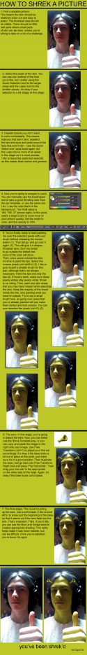 9454_how-to-shrek.