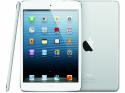 94631_ipad-mini_1-650x487.