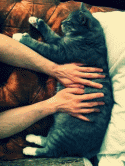 94654_1338286872_gifs_17.
