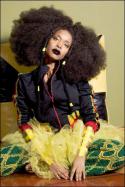 94751_erykah-badu.