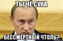 94972_putin_74150556_orig_.