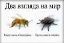 95070_0c012808.