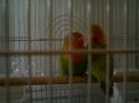 95094_IMAG0009.