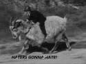 950_monkey_goat_haters.