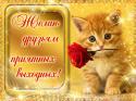 95194_image.