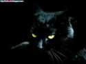 95205_00028_Bsitworld_blogspot_com.