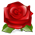 95278_5645_Rose-icon.