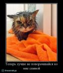 95305_f_26580.