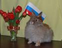 95309_DSC_0022.