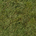 95345_grass5.