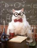95493_Chemistry_cat.