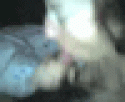 9557nnn_3gp.