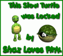 95585_turtletag.