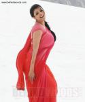 95586_after-kajal-agarwal-9108.