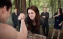 95721_kinopoisk_ru-Twilight-Saga_3A-Breaking-Dawn-Part-2_2C-The-2004546.