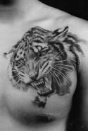95737_Tiger-sleeve-tattoo8813.