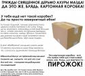 9581Exxtreme_advert_box.