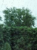 96032_DSCN2433.