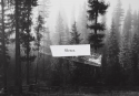 96044_tumblr_mum3v5bf411sff36bo1_500.