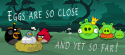 9610_Eggs_are_yet_so_far.
