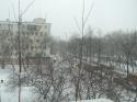 96184_Sneg_002.