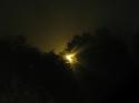 9619IMG_7521.