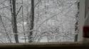 963DSC01724.