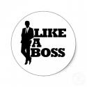 96505_like_a_boss_sticker-p217269681513024420envb3_400.
