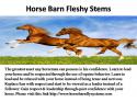 96812_Horse_Barn_Fleshy_Stems.