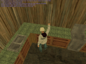 96911_brew5.