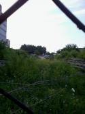 97221_AmTc30H2ynY.