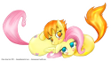 9725fluttershy_x_spitfire_request_by_clairegl-d49so8m.