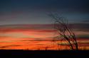 97285_DSC_2827.