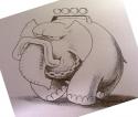 9738_slon.